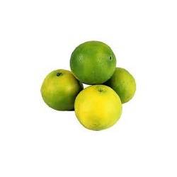 پرتقال ناول